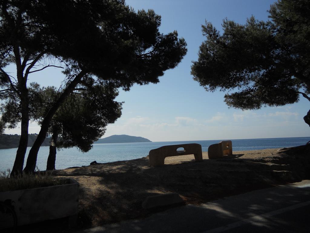 Studio Le Peneque Des Anges La Ciotat Phòng bức ảnh