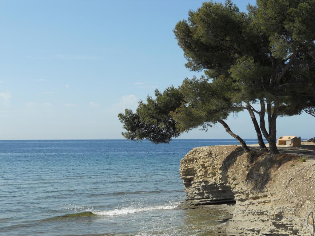 Studio Le Peneque Des Anges La Ciotat Phòng bức ảnh