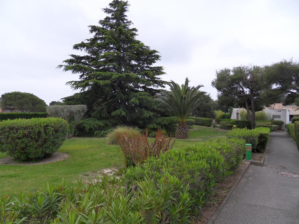 Studio Le Peneque Des Anges La Ciotat Phòng bức ảnh