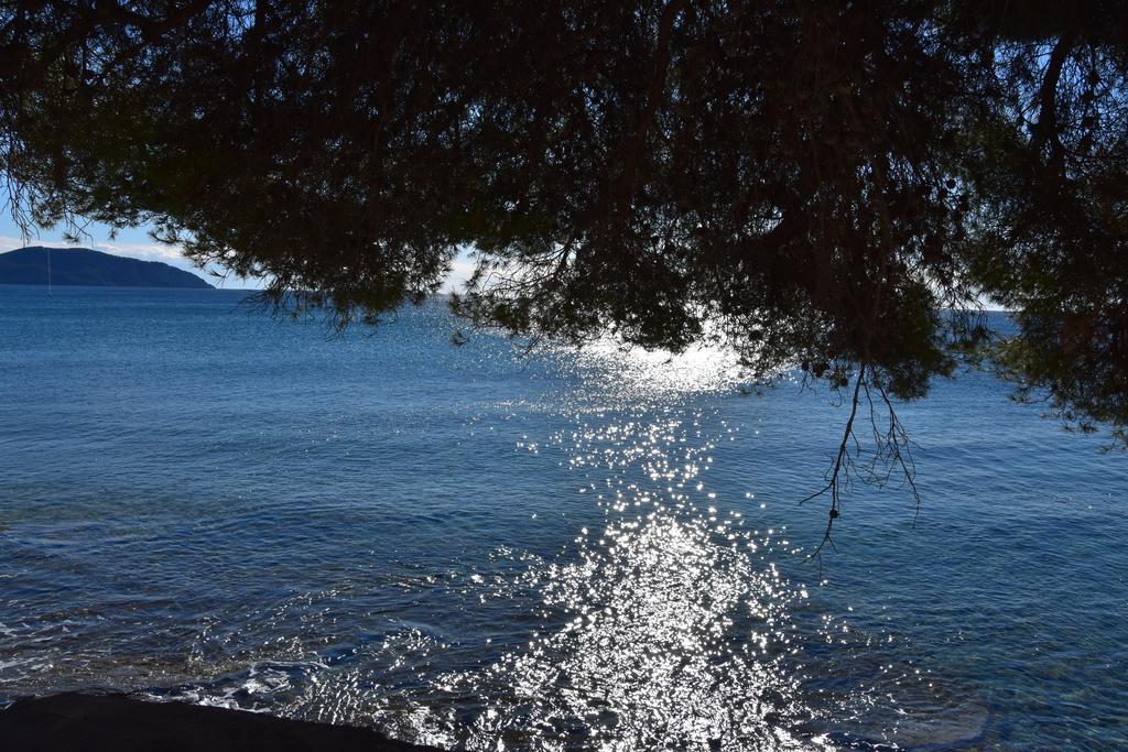 Studio Le Peneque Des Anges La Ciotat Ngoại thất bức ảnh